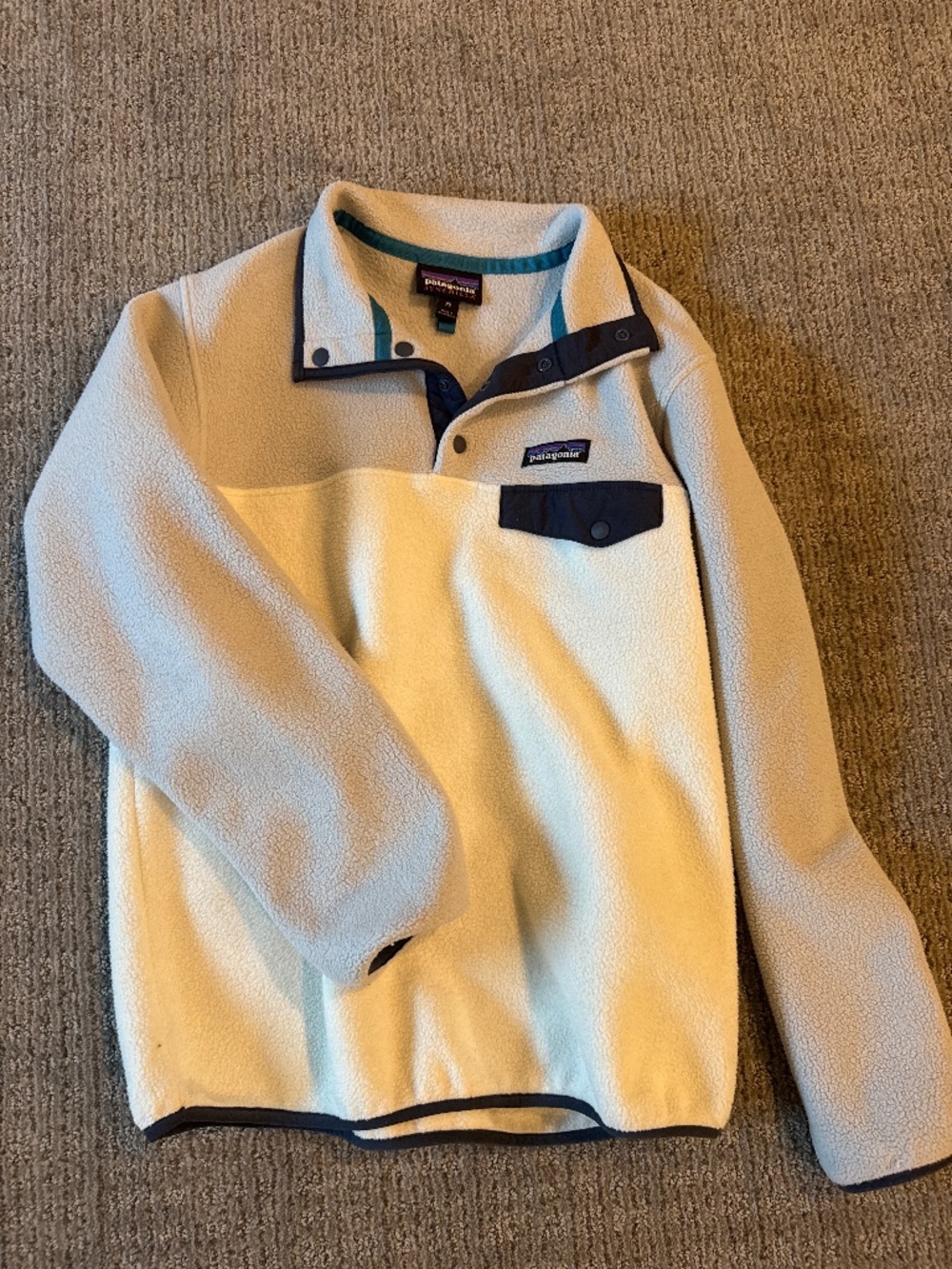 Patagonia Synchilla